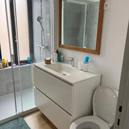 Maison Entiere Paisible A 5 Minutes De Lille Apartmán Saint-Andre-lez-Lille